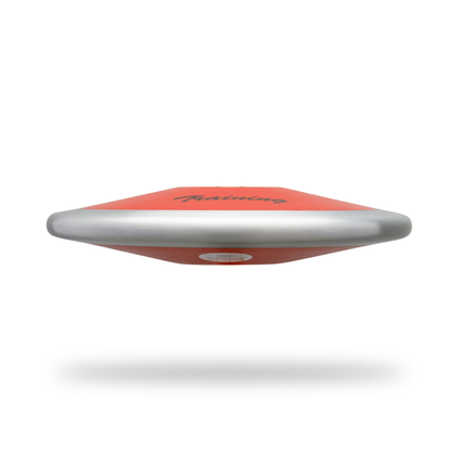ATE Adjustable Weight Discus